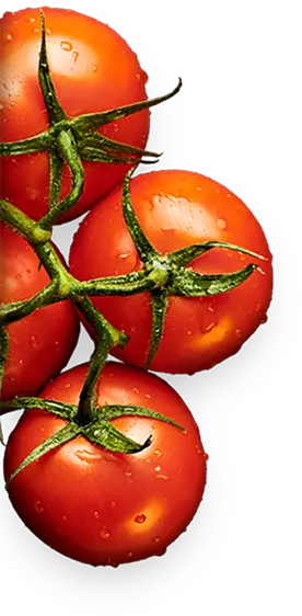 veg dishes